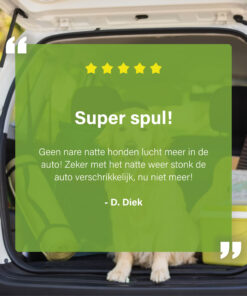 Hond in kofferbak met klantreview over EcoCar Ontgeurder