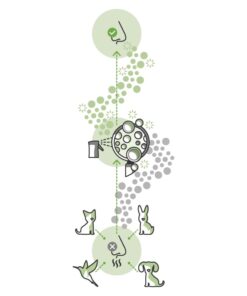 Alternative view of Ecodor Geur en Vlekweg - 0,25 liter