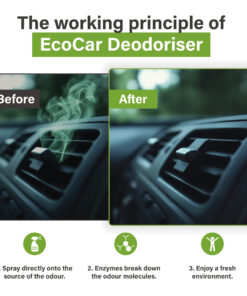 Voor-en-na vergelijking van autoventilatie met EcoCar Ontgeurder