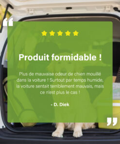 Chien dans le coffre avec avis client sur le Désodorisant EcoCar