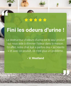 Afbeelding met een klantreview over het verwijderen van urinelucht, geplaatst over een foto van een gezin op een bank, met tekst en sterrenbeoordeling.